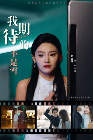 我期待的不是雪(30集) 我期待的不是雪(30集)精彩短剧看全集
