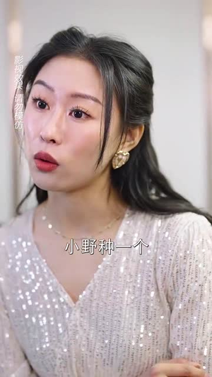 赤焰红颜 (40集) 赤焰红颜 (40集)精彩的网络短剧