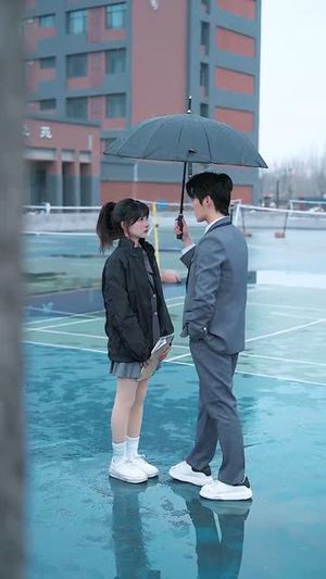 追你跟熬鹰似的(95集) 追你跟熬鹰似的(95集) 全集免费观看