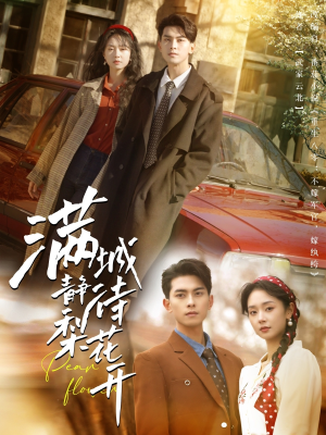 满城静待梨花开(100集) 满城静待梨花开(100集)免费看短剧