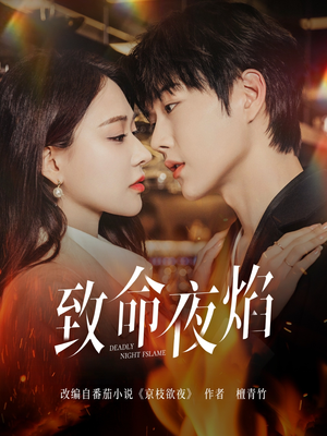 致命夜焰（80集） 完整版免费观看