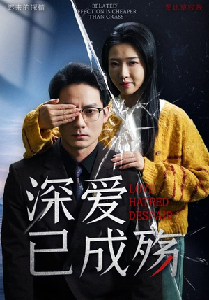 深爱已成殇（52集） 好看到停不下来