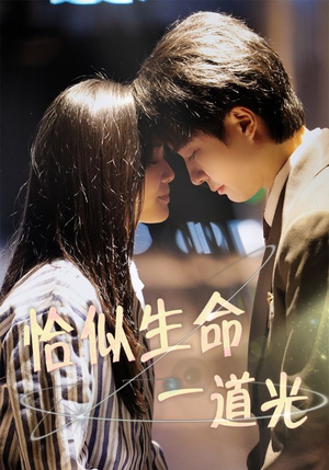 恰似生命一道光(60集) 恰似生命一道光(60集) 全集免费观看