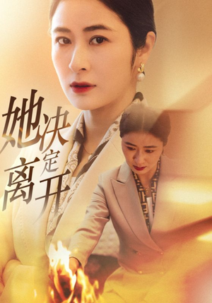 她决定离开（32集） 最新热剧免费看