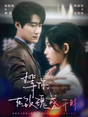 等你在玫瑰盛开时（80集） 推荐好短剧