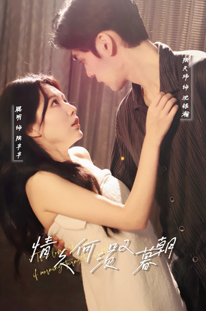 情久何须叹暮朝（61集） 爆款短剧抢先看