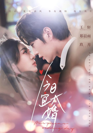 今日宜大婚（59集） 全集完整版