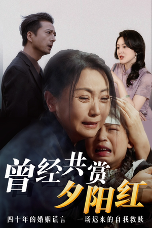 曾经共赏夕阳红 曾经共赏夕阳红 怎么看全集