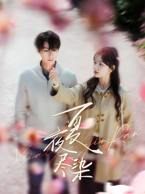 夏夜尽染（80集） 看到了大结局