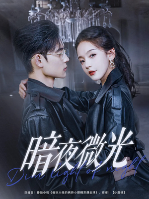 暗夜微光(86集) 暗夜微光(86集)全集