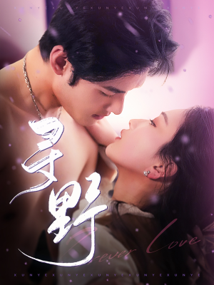 寻野（100集）短剧中追到爽