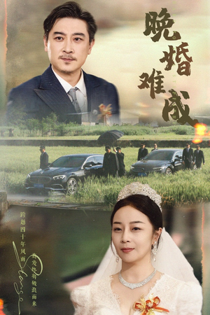 晚婚难成（60集）好看吗