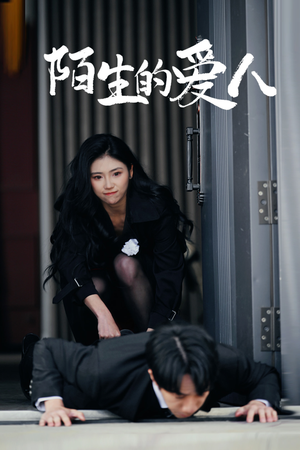 陌生的爱人（60集）80到100集