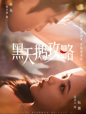 黑天鹅攻略（65集）古装热门短剧