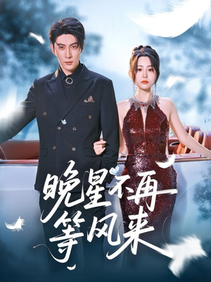 晚星不再等风来（65集）怎么看全集