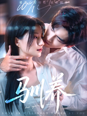 驯养（96集）正能量短剧分享