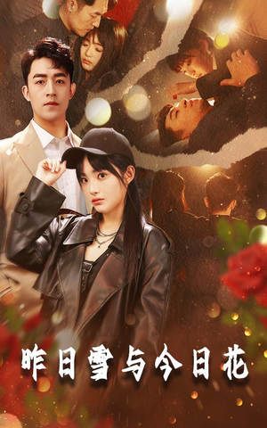 昨日雪与今日花（81集）最新短剧推荐