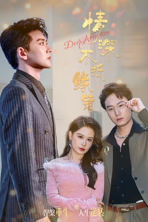 情深不抵缘错（60集）在哪看