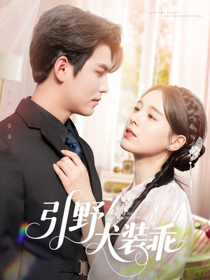 引野犬装乖(61集) 引野犬装乖(61集)流畅播放免费看