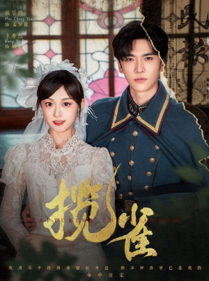 揽雀(61集) 揽雀(61集)超甜短剧分享