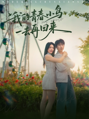 我的青春小鸟一去再回来（95集）怎么看全集