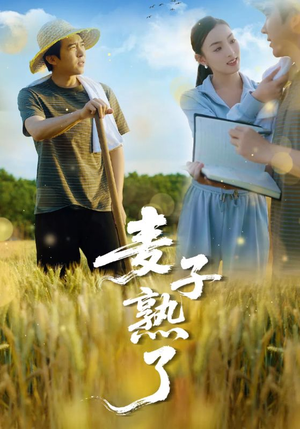 麦子熟了(52集) 麦子熟了(52集)精彩短剧上线