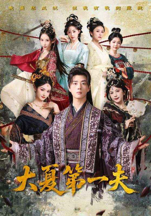 大夏第一夫（90集）去哪里看
