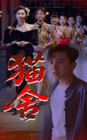 猫舍(34集) 猫舍(34集)免费短剧看全集