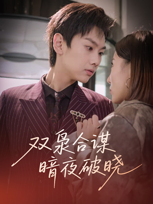 双枭合谋暗夜破晓（30集）简直不要太好看