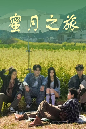 蜜月之旅（35集）我全都看完了