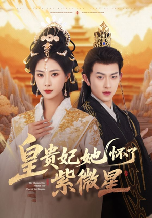 皇贵妃她怀了紫薇星（80集）最新上映免费看