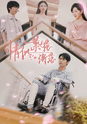 情似繁花渐落（62集）精彩不断免费看