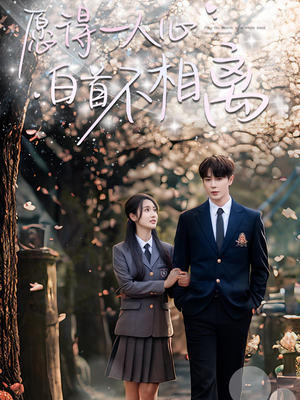 愿得一人心白首不相离（80集）追短剧看全集