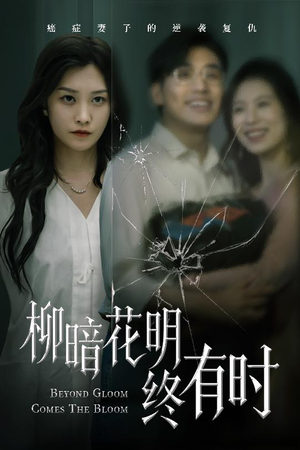 柳暗花明终有时（50集）最新短剧推荐