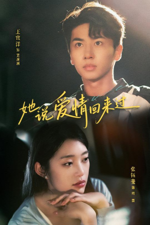 她说爱情回来过（86集）精彩短剧追不停