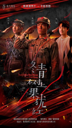 冬青树上果犹红（9集）热播短剧推荐