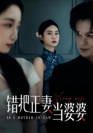 错把正妻当婆婆（46集）看过的人都说好