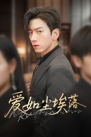 爱如尘埃落（71集）网盘在线观看