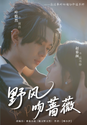 野风吻蔷薇(78集) 野风吻蔷薇(78集)这部短剧太好看
