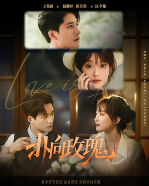 扑向玫瑰(77集) 扑向玫瑰(77集)在哪里可以看