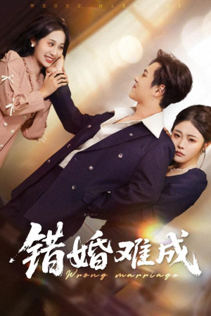 错婚难成(45集) 错婚难成(45集)追短剧太上头了