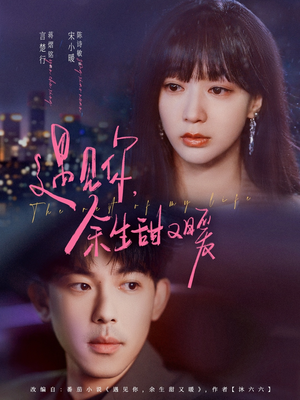 遇见你余生甜又暖（70集）短剧排行榜