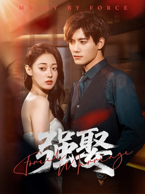 强娶（80集）最火短剧热播中