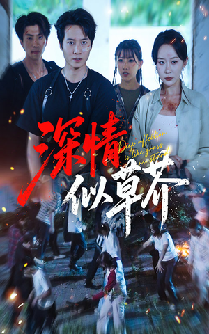 深情似草芥（51集）短剧前十排行榜