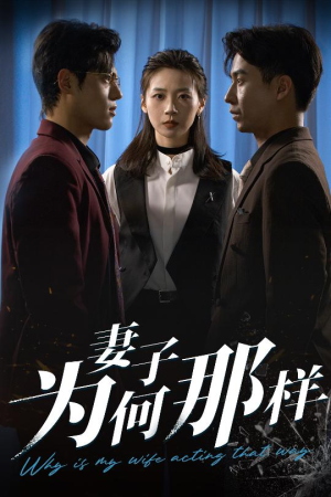 妻子为何那样(60集) 妻子为何那样(60集)热门短剧推广