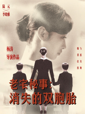 老宅秘事消失的双胞胎（90集）观看软件