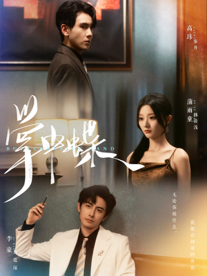 掌中蝶（84集）演的怎么样