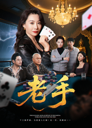 老手（36集）好看的短剧