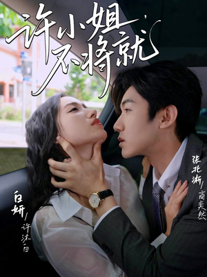 许小姐不将就(60集) 许小姐不将就(60集)超爽短剧推荐