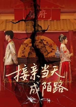 接亲当天成陌路(50集) 接亲当天成陌路(50集)超火热门短剧